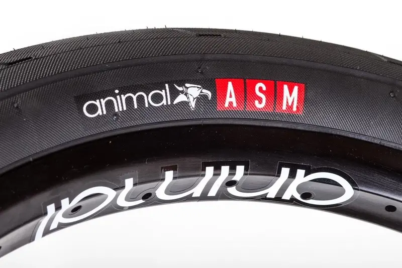 Animal Asm Tire 1
