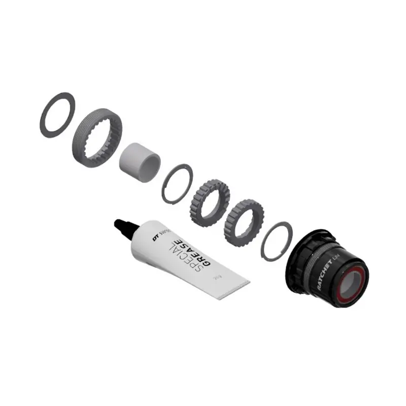 Dt Swiss Ratchet Ln Sram Xd Conversion Kit 1