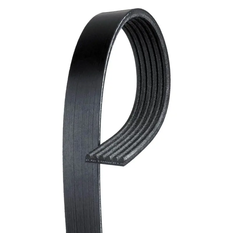 Gates® K060824 - Micro-V™ V-Ribbed Belt 1