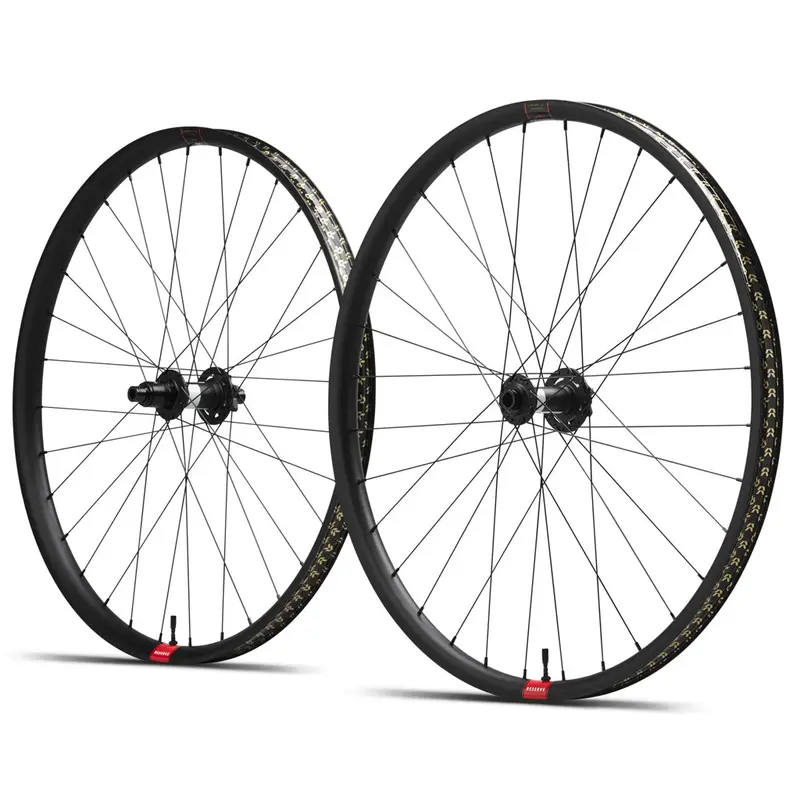 Reserve 30|Sl Aluminum 29 | Dt 350 Deg Df 110 Xd 6-Bolt Wheelset 1