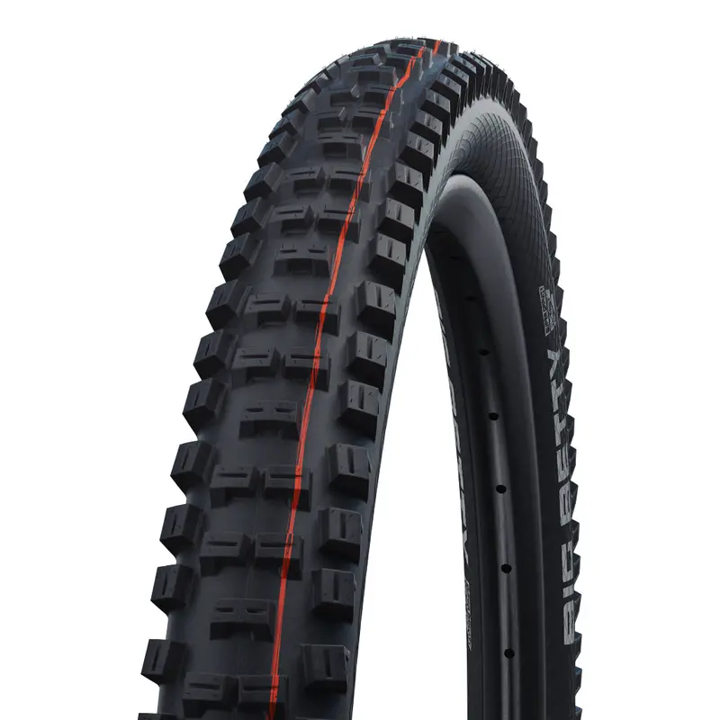 Schwalbe Big Betty 1