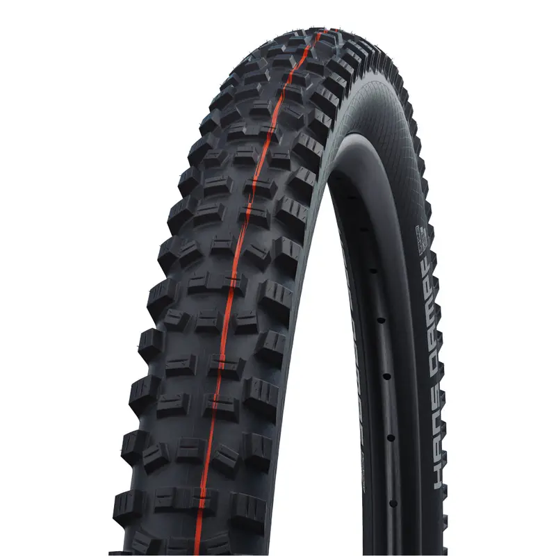 Schwalbe Hans Dampf 1