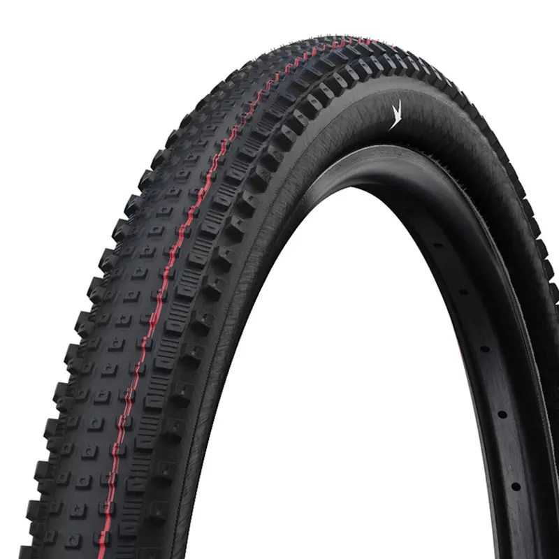 Schwalbe Rick Xc Pro 1