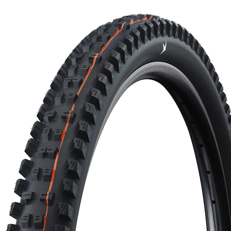 Schwalbe Tacky Chan Radial 1