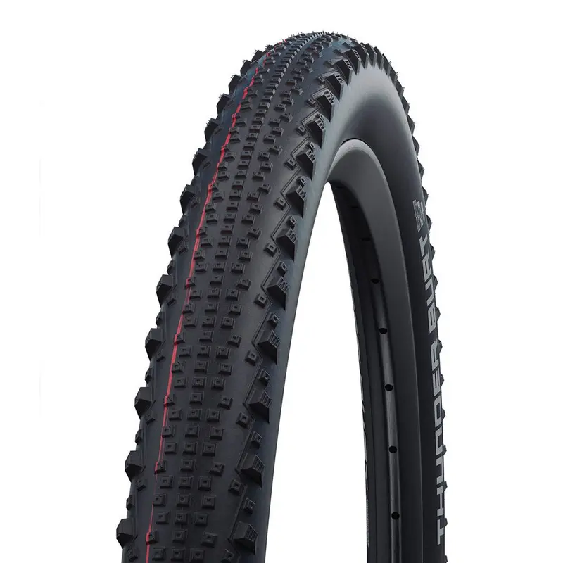 Schwalbe Thunder Burt 1