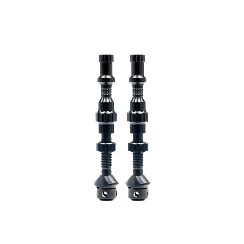 Stan's Tubeless Exo-Core Valves 1